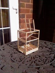 Aviary Trap Cage (single)