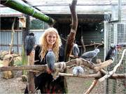 HUGE AMOUNT of AFRICAN GREY PARROTS FOR GOOD HOME